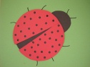 Insect - Bug Crafts for Kids