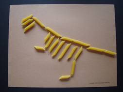 Macaroni dinosaur skeleton Clearance