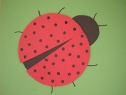 Insect - ladybug Crafts for Kids